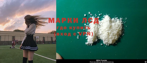 spice Горняк
