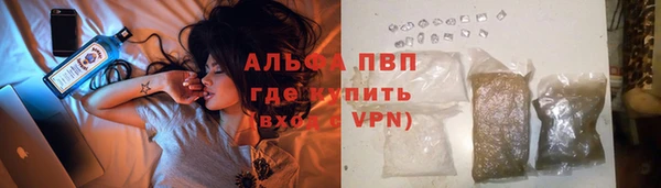 мдпв Горнозаводск