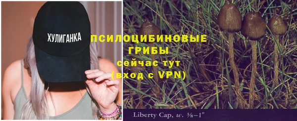 spice Горняк