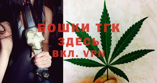 мдпв Горнозаводск