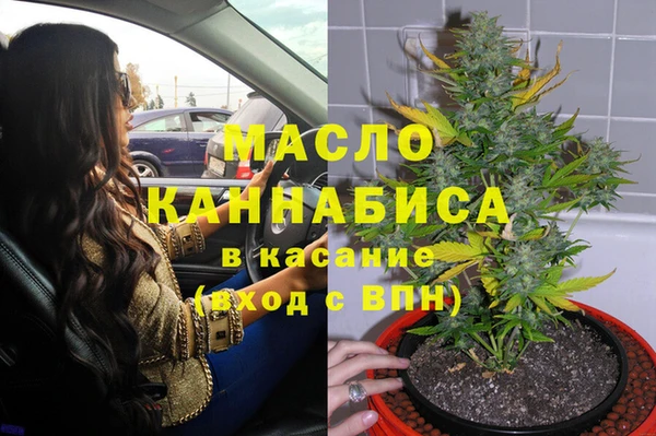 мдпв Горнозаводск