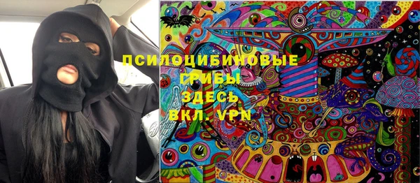 мдпв Горнозаводск