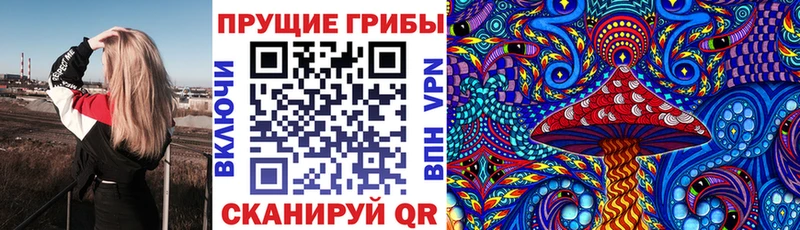 Галлюциногенные грибы мицелий  Красноярск 